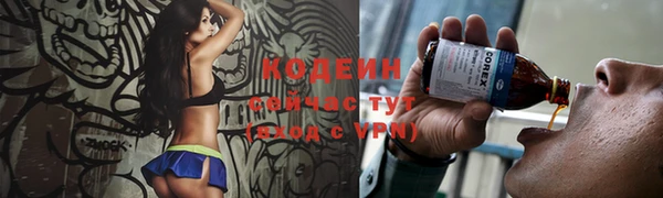дмт Краснослободск
