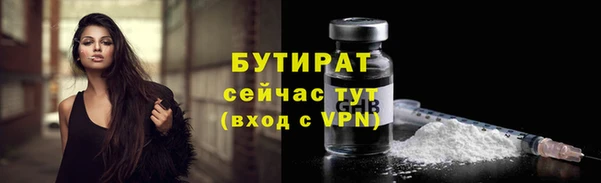 дмт Краснослободск
