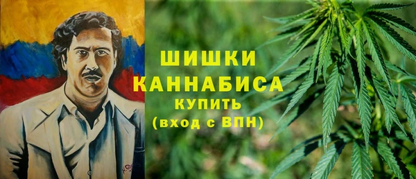 дмт Краснослободск