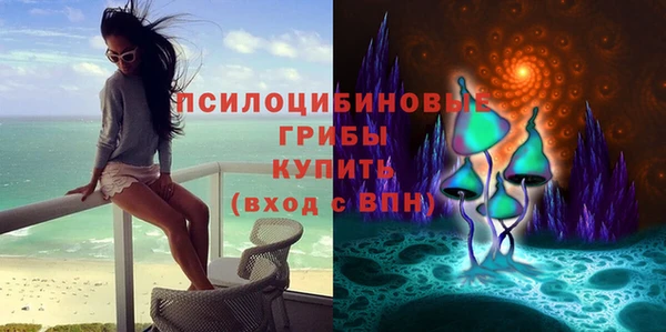 apvp Красноперекопск