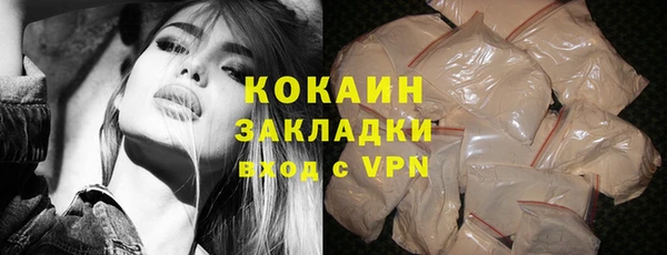 дмт Краснослободск