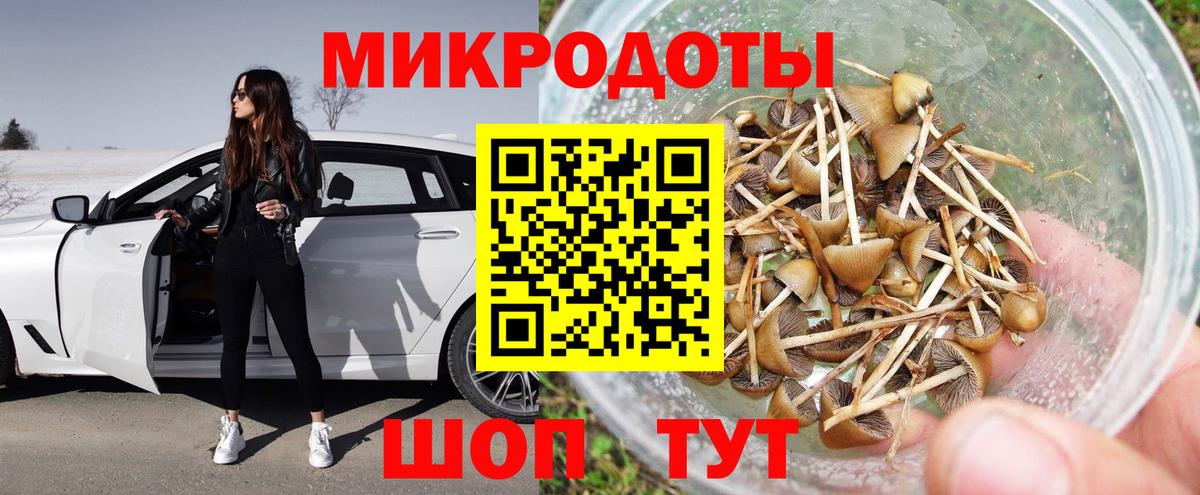 Галлюциногенные грибы Magic Shrooms Вологда