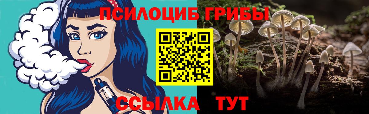 Вологда  Галлюциногенные грибы Cubensis  Вход с VPN 